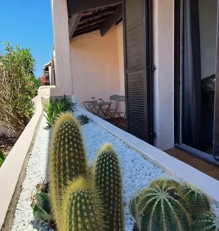Apartment Petit Cocon *